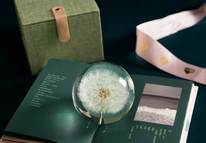 Detailed view of dandelion crystal ball on vintage book with elegant gift box and ribbon