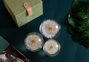 Close-up of three dandelion crystal balls in a luxury gift box on a deep green background