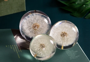 Three dandelion crystal globes with botanical specimens on an open book for home decor