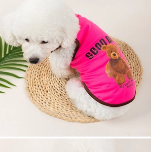 Close-up of pink breathable mesh dog vest with teddy bear print on a white poodle