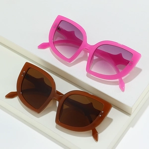 Cat Eye Sunglasses Plastic PC Lenses With Metal Rivets UV400 Protection Large Frame Retro Ins Style Streetwear Women