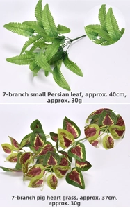 Detailed comparison of artificial Persian leaf and Coleus foliage with size specifications