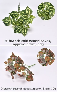 Detail of 5-prong Aluminum plant and 7-prong Peanut leaves with realistic textures
