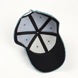 Detail view of the baseball cap's inner structure with sweatband and six-panel stitching