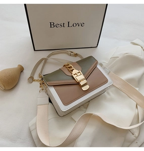 Detail of color-block crossbody bag featuring gold buckle and chain on white shirt
