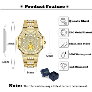 Detailed specs of gold punk hip hop iced-out watch with 42mm dial and 30M waterproof info