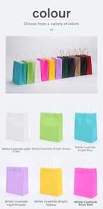 Colorful vertical kraft paper gift bags with handles in various bright and classic shades