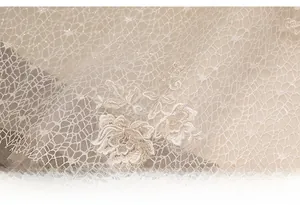 Detail of off-white lace fabric featuring intricate floral embroidery and mesh texture