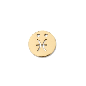 Macro shot of gold-plated stainless steel Piscean zodiac pendant with double-hole design