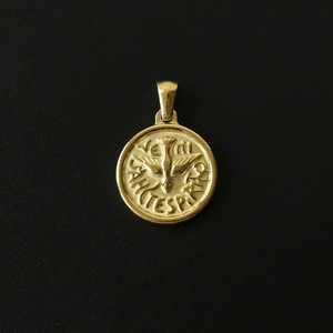 Macro view of golden coin pendant with Holy Spirit dove and Latin engraving on black background