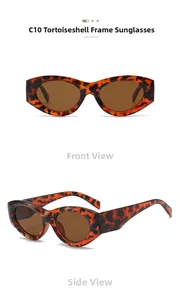 Detail view of oval tortoise shell sunglasses with stylish tea-colored lenses and wide temples