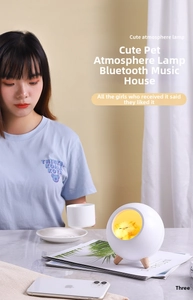 Close-up of a pet house night light with a yellow cat inside on a wooden stand