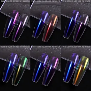 Coffret de poudre d'aurore solide bicolore pour ongles avec 6 effets chrome métal