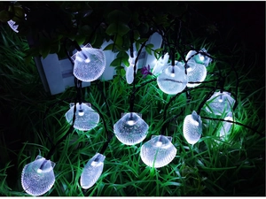 Detail of waterproof LED shell fairy lights emitting cool white glow on garden grass