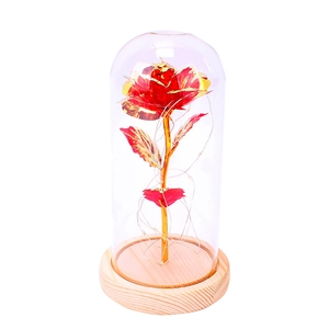 Gold foil red rose in glass dome with LED string lights on a wooden base