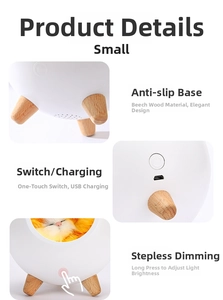 Detail of USB charging port and wooden tripod base on the cat night light lamp