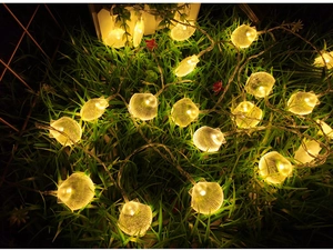 Detailed view of LED sea shell fairy lights illuminating a garden lawn at night