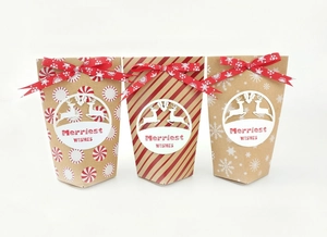 Lot de 3 sacs cadeaux de Noël en papier kraft avec rubans rouges et fenêtre de renne