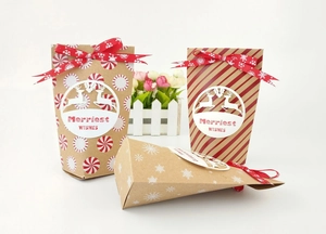 Détails des sacs cadeaux de Noël en kraft avec étiquettes de renne et rubans festifs
