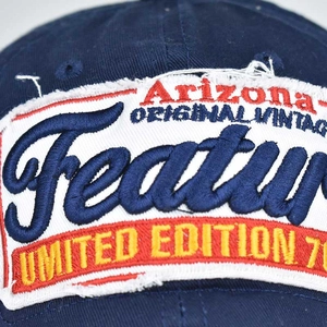 Casquette de baseball en coton avec écusson brodé 3D et bords usés style vintage