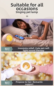 Cute pet house night light with warm LED glow and integrated Bluetooth speaker function