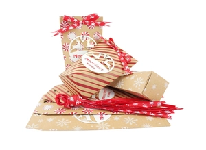 Détails de sacs cadeaux de Noël en papier kraft avec rubans rouges et étiquettes cerf