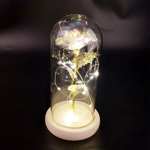 Eternal gold foil rose in glass dome with warm LED lights on a wooden base