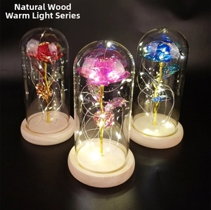Detailed view of LED gold leaf roses in glass domes with natural wooden bases