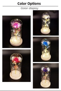Detailed view of five colorful gold foil roses in glass domes with glowing LED string lights