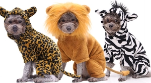 Plush leopard, lion, and zebra dog costumes with hooded ears for warmth and funny style