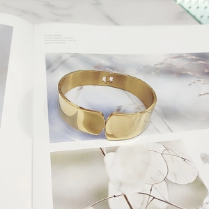Detail of gold titanium steel bangle with brushed and polished texture on book