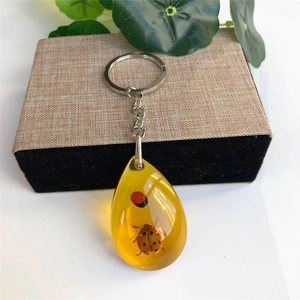 Macro shot of a real ladybug specimen in a teardrop resin amber keychain pendant
