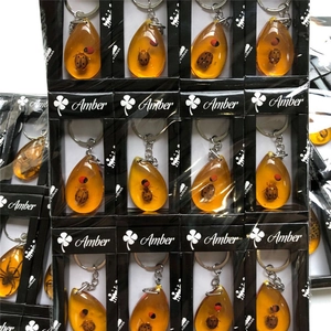Wholesale set of 12 teardrop insect specimen keychains in black gift boxes