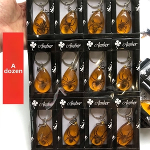 Bulk set of teardrop resin amber keychains featuring real spider insect specimens in boxes