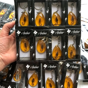 Macro shot of real scorpion insect specimens embedded in teardrop amber resin keychains