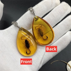 Front and back detail of teardrop resin amber pendants with real scorpion specimens