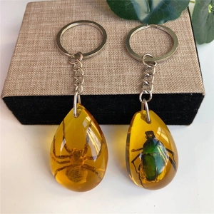 Close-up of amber resin keychains featuring spider and green beetle insect specimens