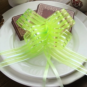Macro shot of light green sheer snow yarn ribbon bow with metallic silver stripes decoration