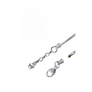 Detailansicht der silbernen Schlangenkette mit Karabinerverschluss und Gewindeendkappe