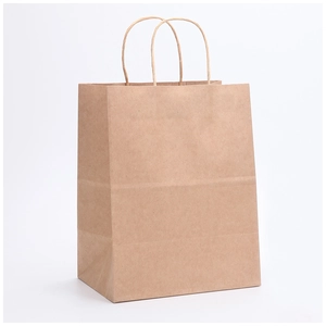 Blank brown kraft paper shopping bag with sturdy twisted paper handles on white background