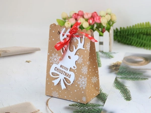 Detail von brauner Kraftpapier-Weihnachtstüte mit Schneeflockenprint und roter Seidenschleife