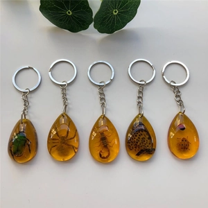 Five amber resin teardrop keychains featuring various real insect specimens with silver chains