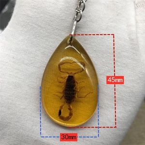 Real yellow scorpion amber specimen keychain in teardrop resin, 45mm x 30mm pendant
