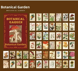 Vintage botanical paper collection with mushroom, berry and flora illustrations