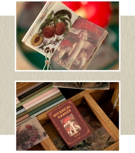 Macro detail of vintage botanical paper pack with mushroom and peach illustrations