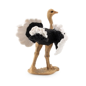 Realistic ostrich animal model toy with detailed feathers and stable base on white background