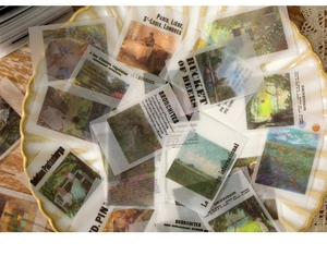 Close-up of vintage floral vellum paper stickers with classic oil painting and text