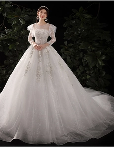 Détails de dentelle délicate et paillettes scintillantes sur les manches de la robe mariée