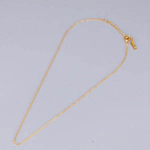 Polished 18K gold plated stainless steel necklace with lobster clasp and extender