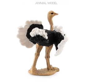 Detailed view of ostrich animal model with realistic feather textures and open wings